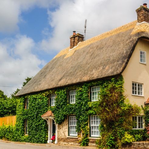 Tolpuddle, Dorset Thatched cottage covered in lush greenery under a partly cloudy sky.